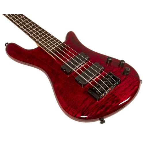 Spector Bantam 5 Black Cherry Gloss