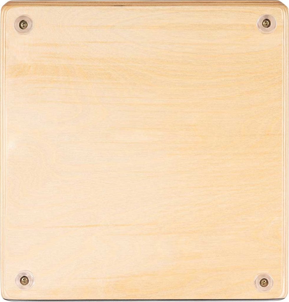 MEINL AESLEYB - immagine 6