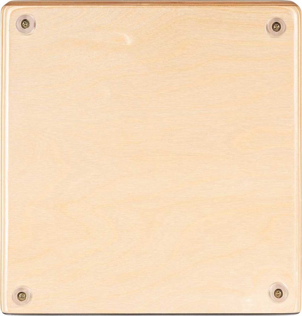 MEINL AESLEB - immagine 6