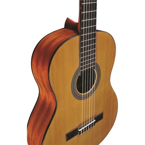 Eko Guitars Vibra 100 Natural