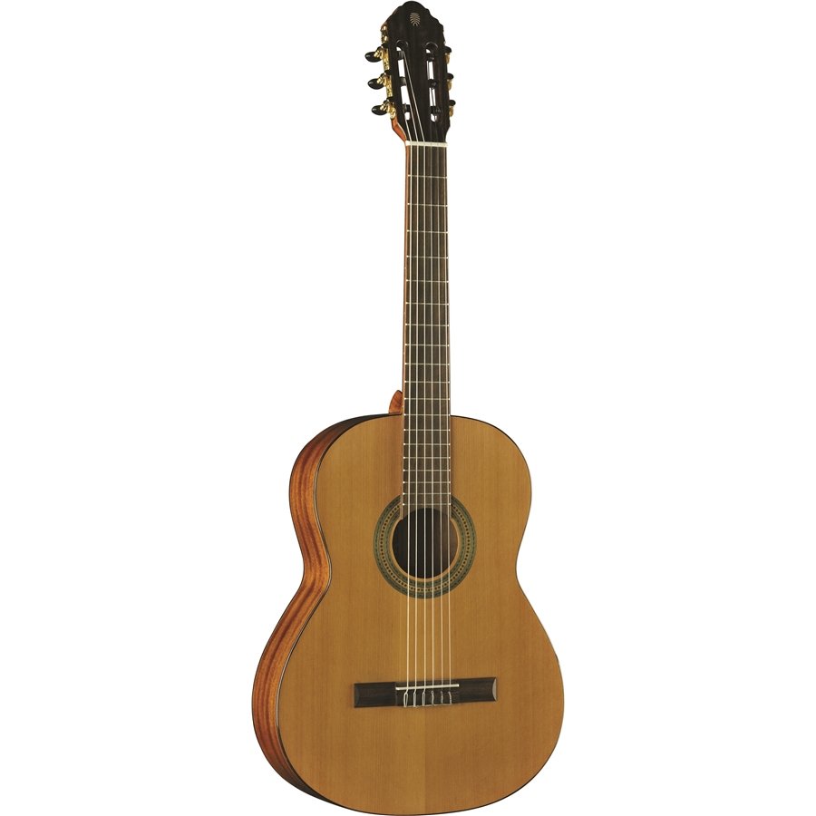 Eko Guitars Vibra 200 Natural