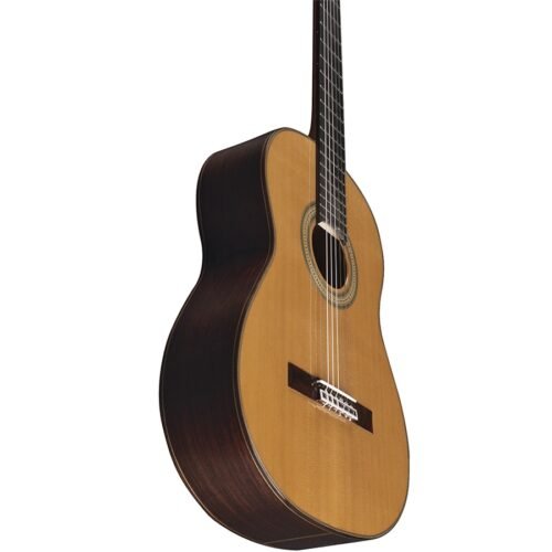 Eko Guitars Vibra 500 Mario Gangi