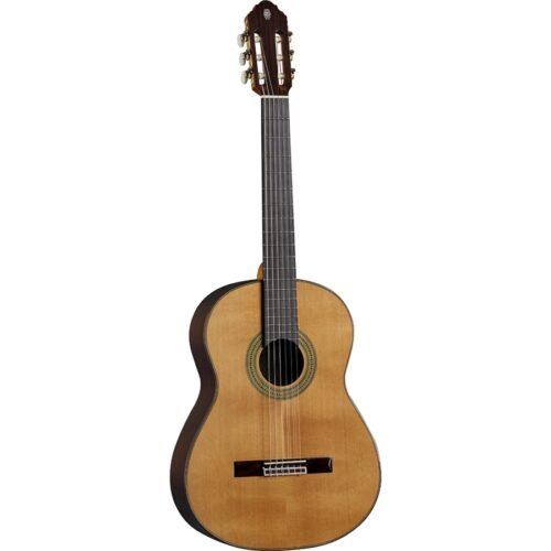 Eko Guitars Vibra 500 Mario Gangi