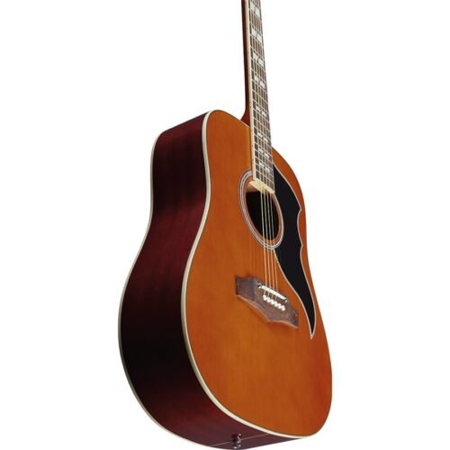 Eko Guitars Ranger VI VR Natural Top Stained