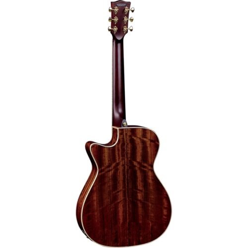 Eko Guitars Mia A400ce