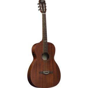 Eko Guitars Duo P200e