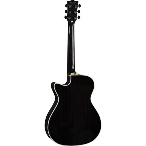 Eko Guitars NXT A100ce See Through Black