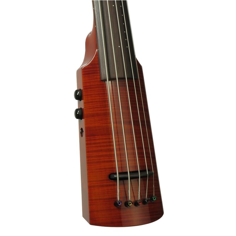 NS Design WAV5 Omni Bass Amberburst