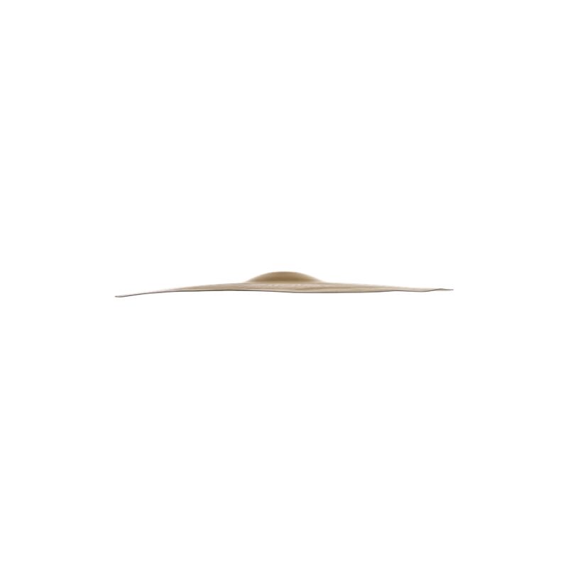 Zildjian A0621-20" FX Crash of Doom