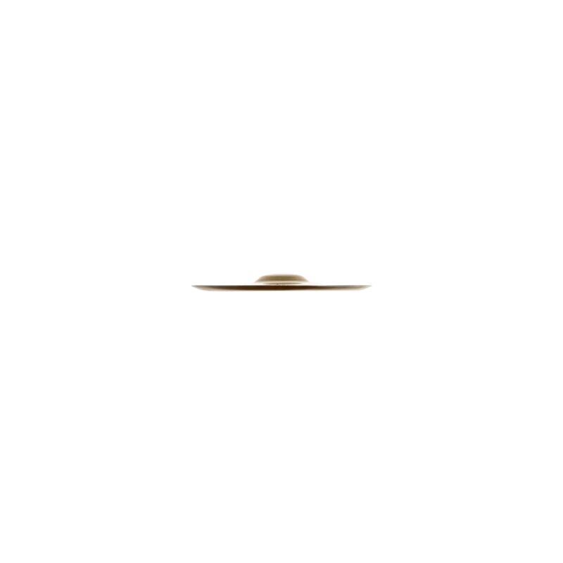 Zildjian A0610-10" FX China Trash
