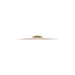 Zildjian A20544-12" A Custom Splash