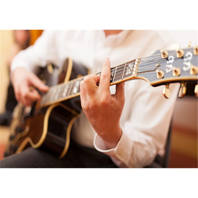 Fishman Pickup Chitarra Archtop (PRO-ARC-TOP)