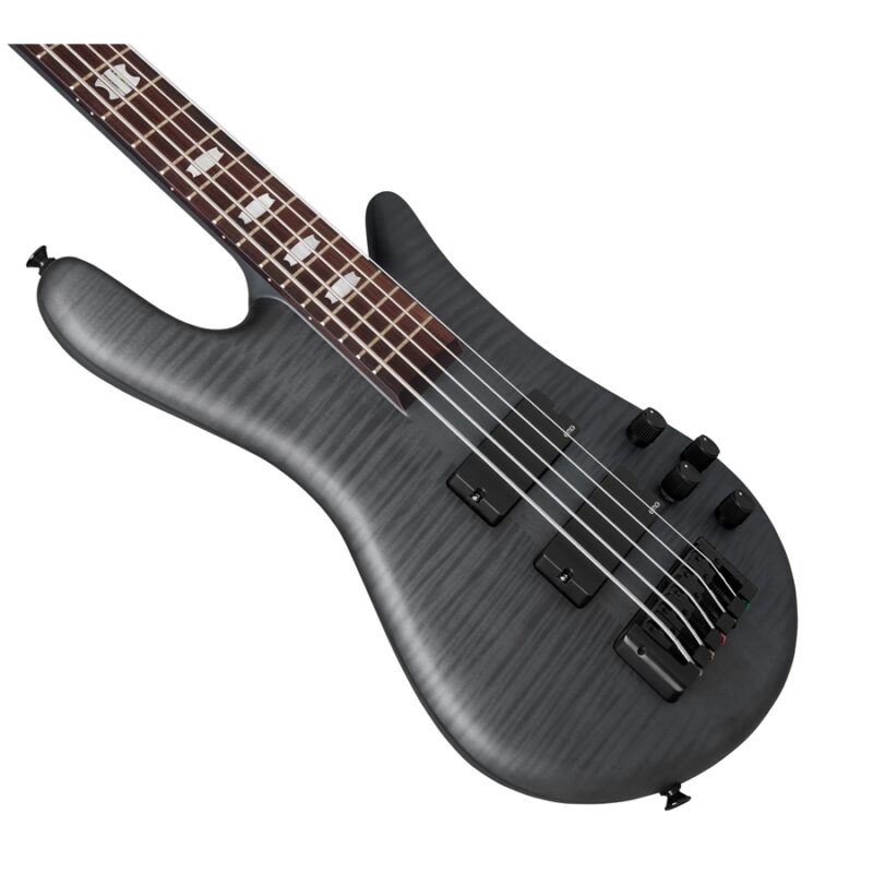 Spector Euro5 LX Trans Black Stain Matte