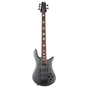 Spector Euro5 LX Trans Black Stain Matte