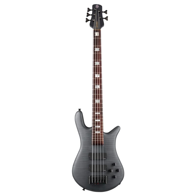 Spector Euro5 LX Trans Black Stain Matte