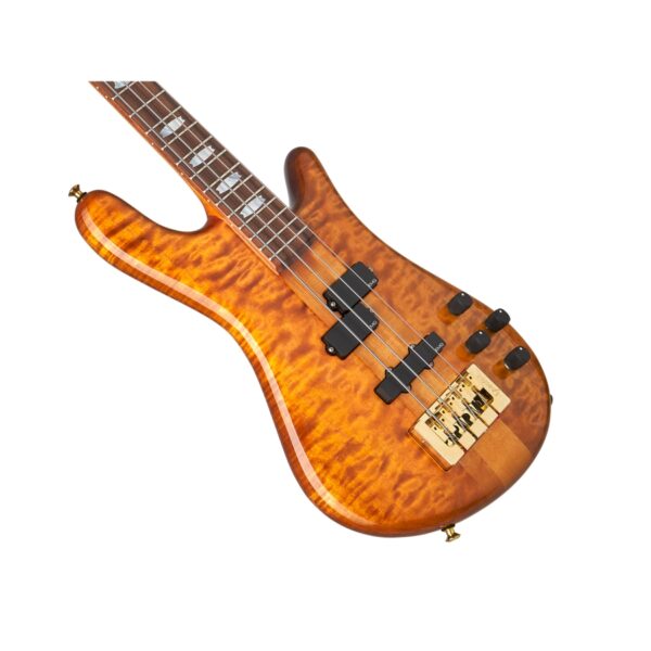 Spector DW-4 Amber