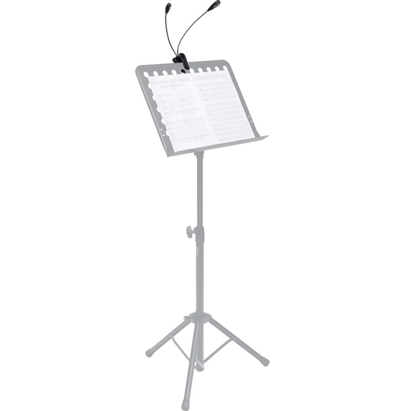 RTX LP2L 2 lampade a Clip Flessibile per Leggio (4 led)