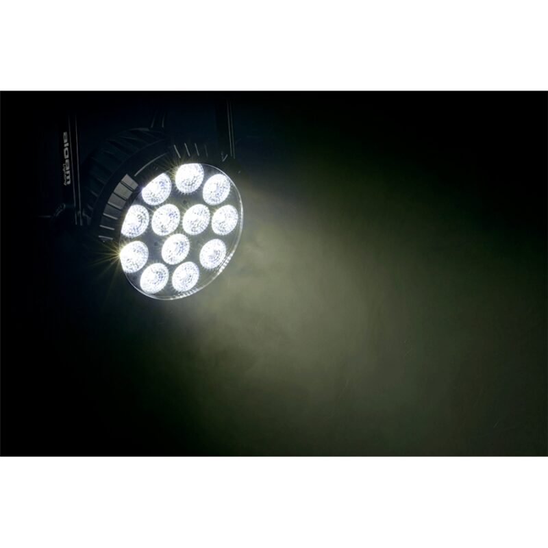 Algam Lighting IP-PAR-1212-HEX IP Par LED 12x12W IP65