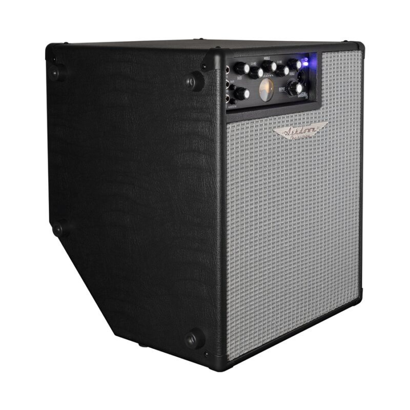 Ashdown ORIGINAL EVO C112-300