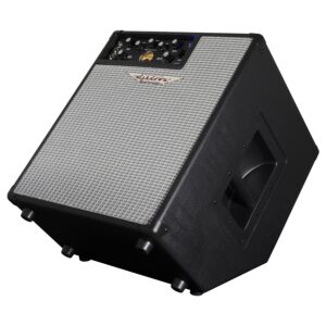 Ashdown ORIGINAL EVO C112-300