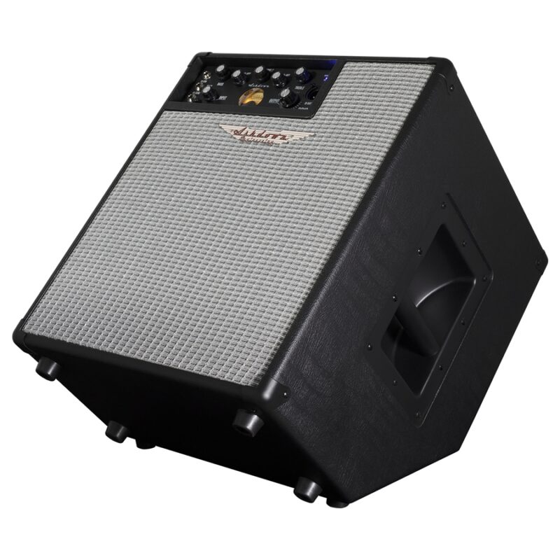 Ashdown ORIGINAL EVO C112-300