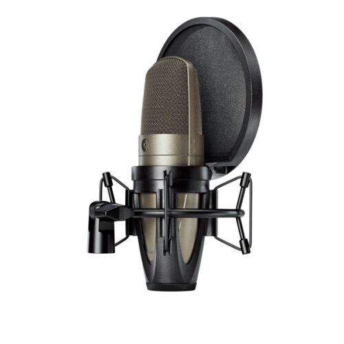 Shure KSM42-SG Microfono voce condensatore cardiode