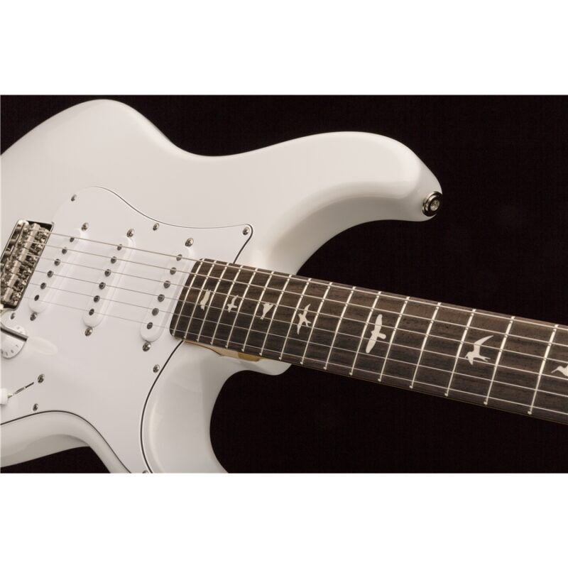 PRS Silver Sky Frost Tastiera Palissandro