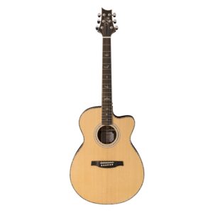 PRS SE A60E Ziricote