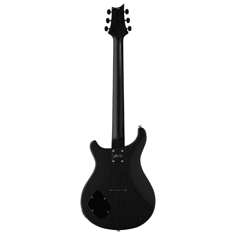 PRS DW CE 24 Hardtail Limited Edition Waring Burst