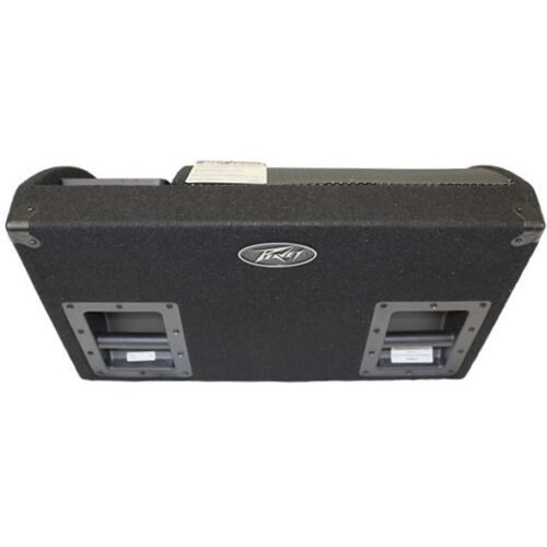 PEAVEY PV® 15PM  POWERED MONITOR - immagine 2