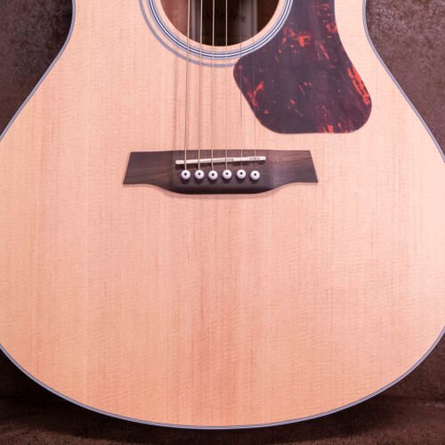 WALDEN WAG550EW CHITARRA ACUSTICA NATURA 500 - immagine 4