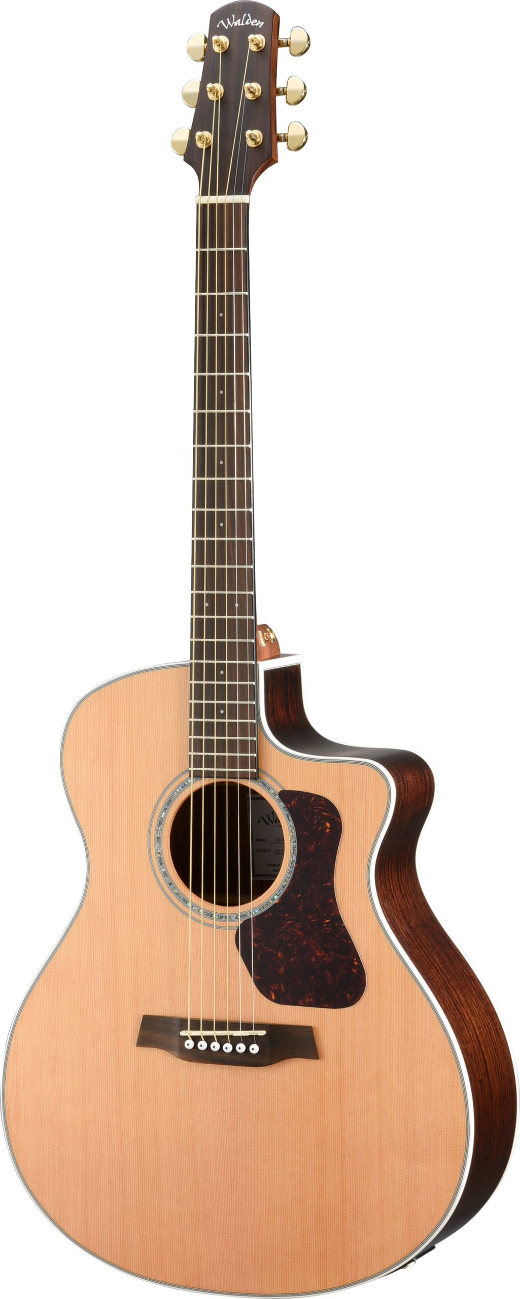 WALDEN WAG630CEW CHITARRA ACUSTICA NATURA 600