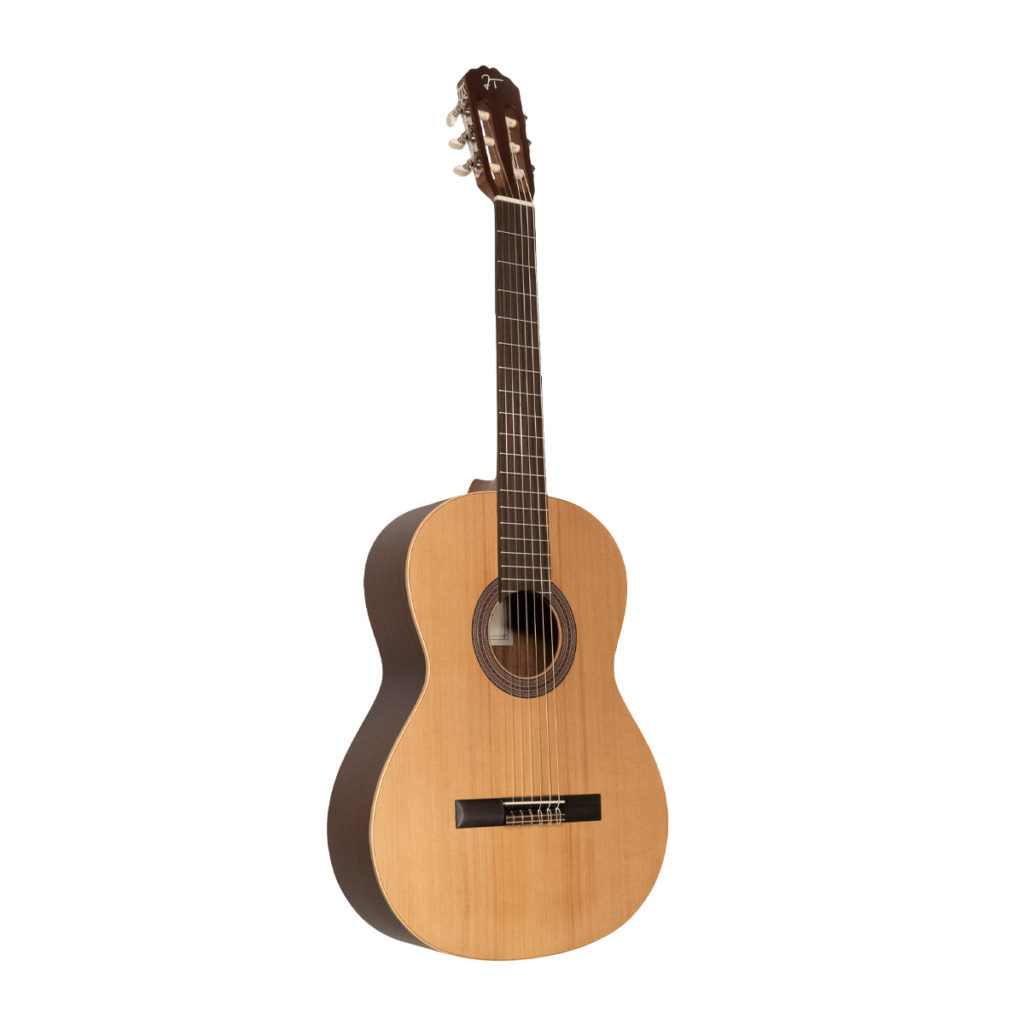 JOSE TORRES JTC-5S LH - immagine 3