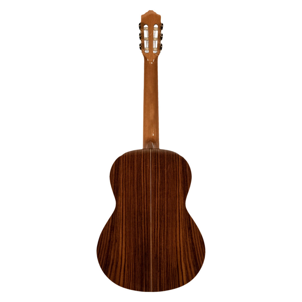 JOSE TORRES JTC-50 SP - immagine 3