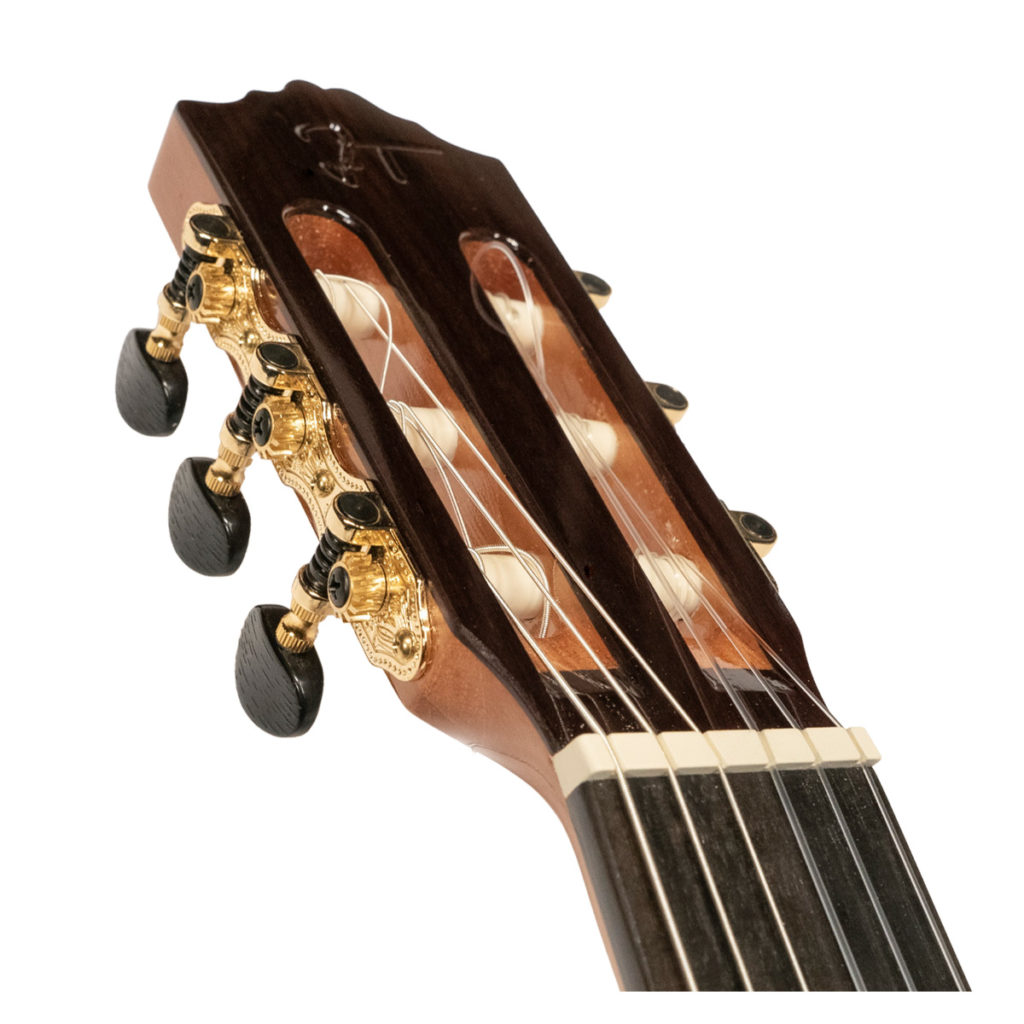 JOSE TORRES JTC-50 SP - immagine 4