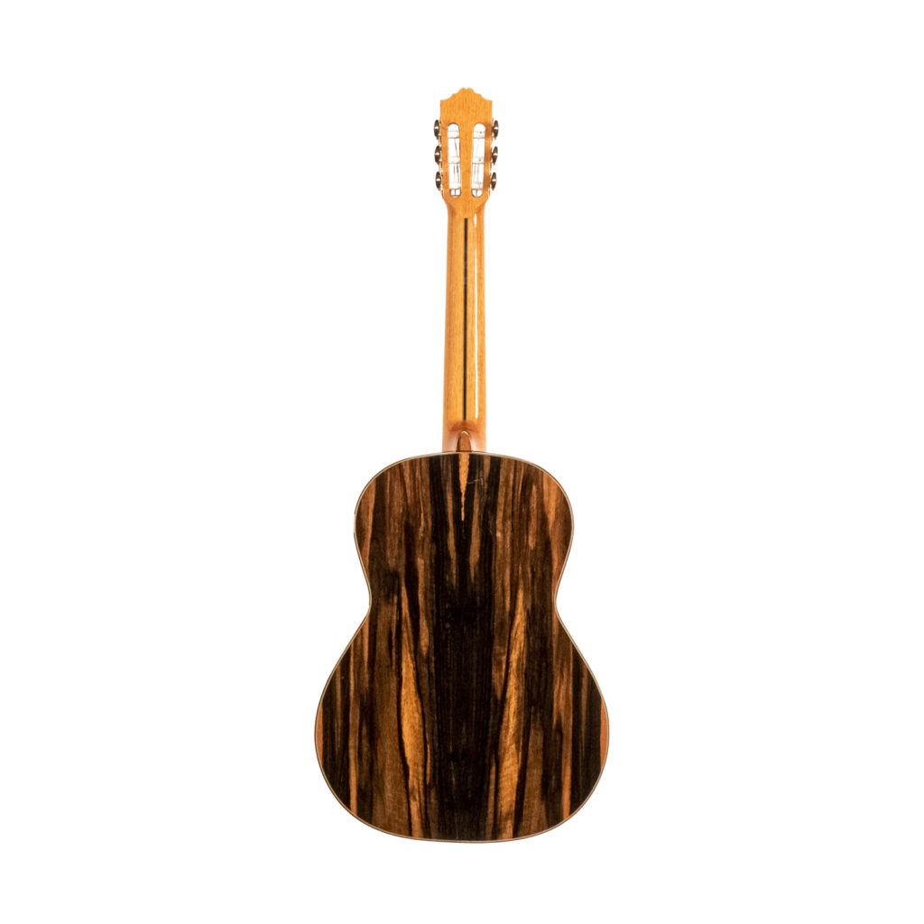 JOSE TORRES JTC-300 - immagine 2