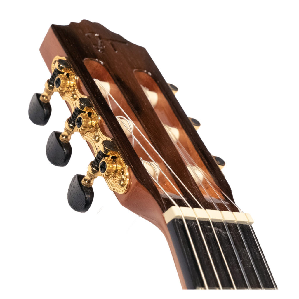 JOSE TORRES JTC-65CE - immagine 4