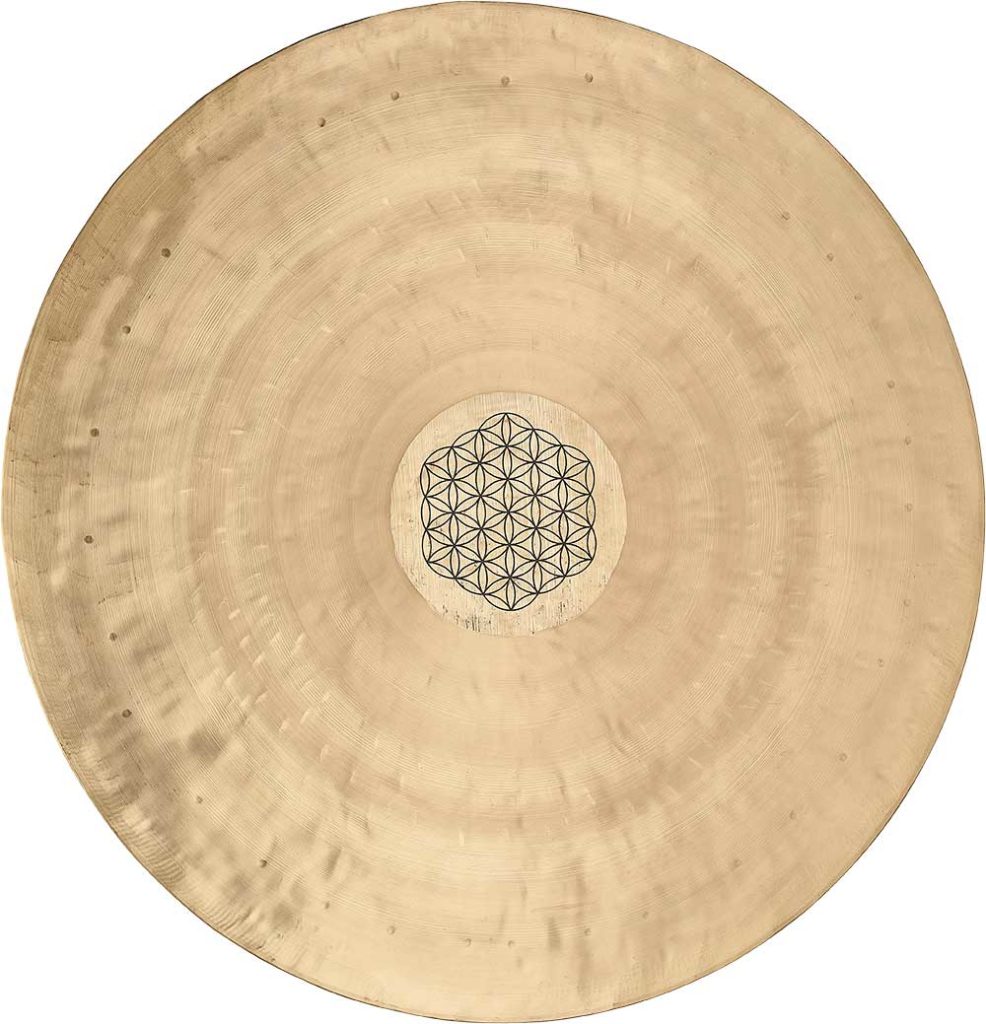 SONIC ENERGY WGFOL24 - immagine 2