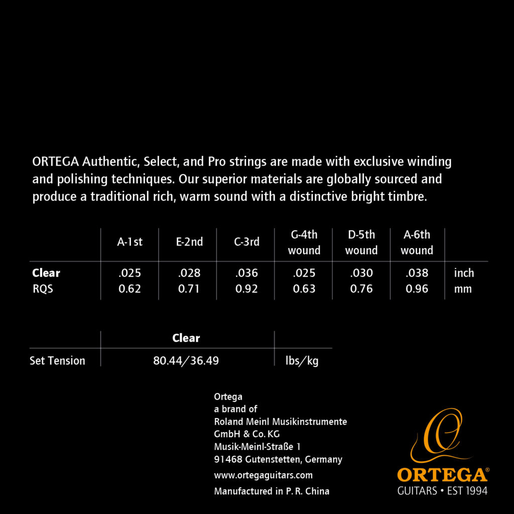 ORTEGA RQS - immagine 2