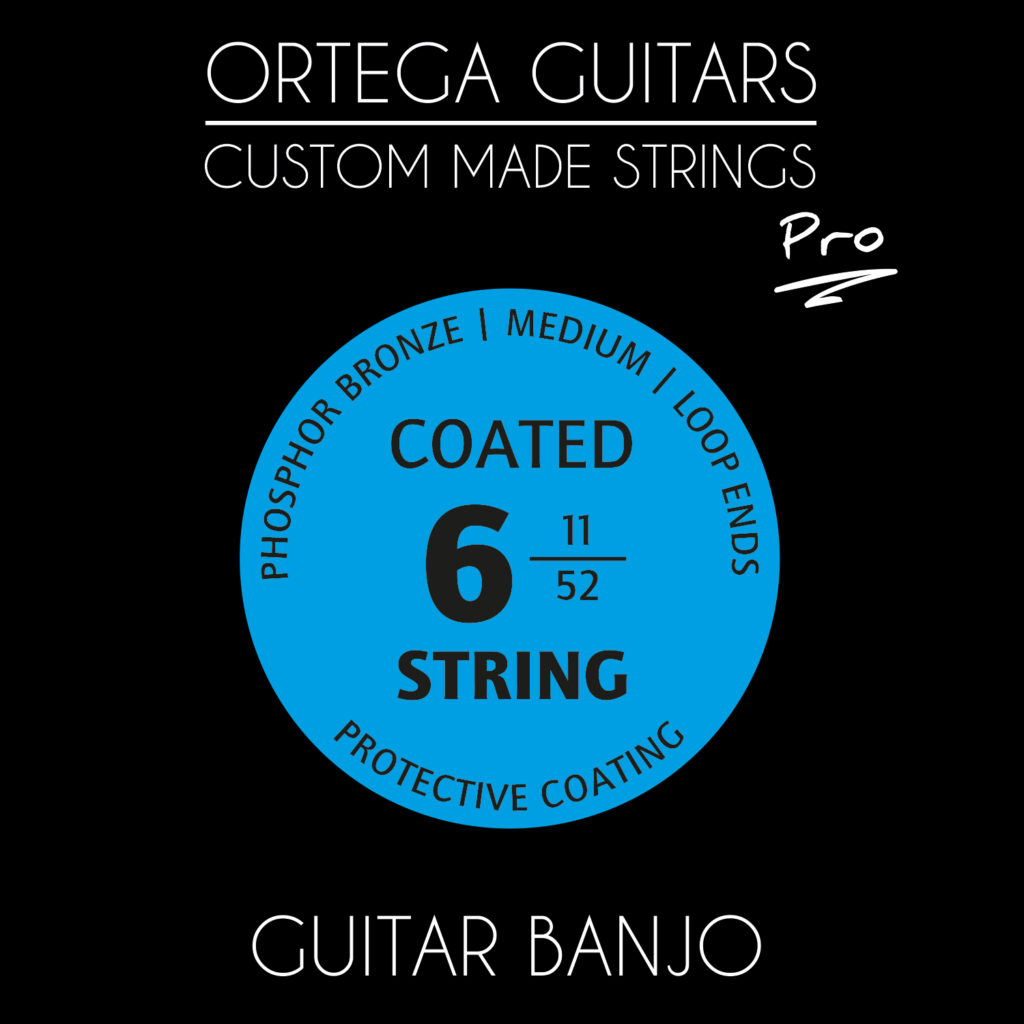 ORTEGA GBJP-6 - immagine 2