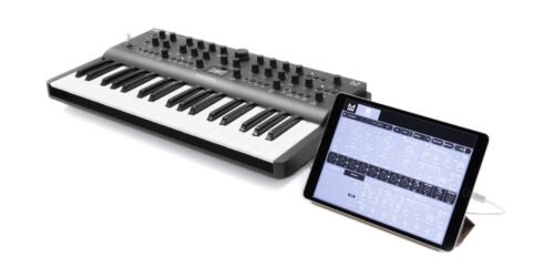 MODAL ELECTRONICS ARGON8 (37 KEYS) - immagine 5