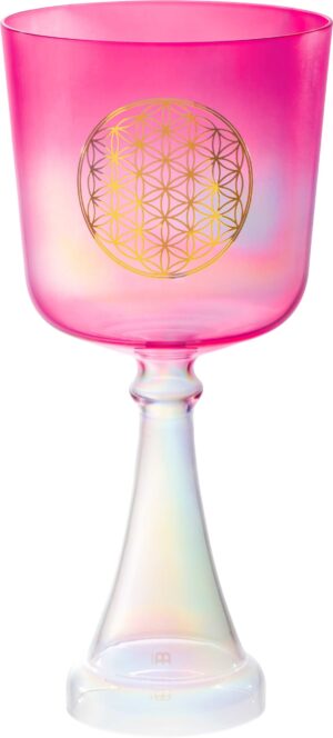 SONIC ENERGY CSC6FPFOL