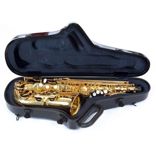 BAM ITALIA STAGE4111IN CUSTODIA STAGE PER SAX ALTO - BLACK SABBATH - immagine 3