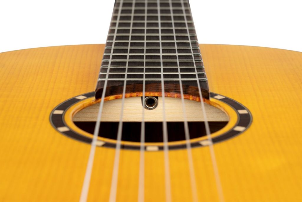 ORTEGA R170F - immagine 4