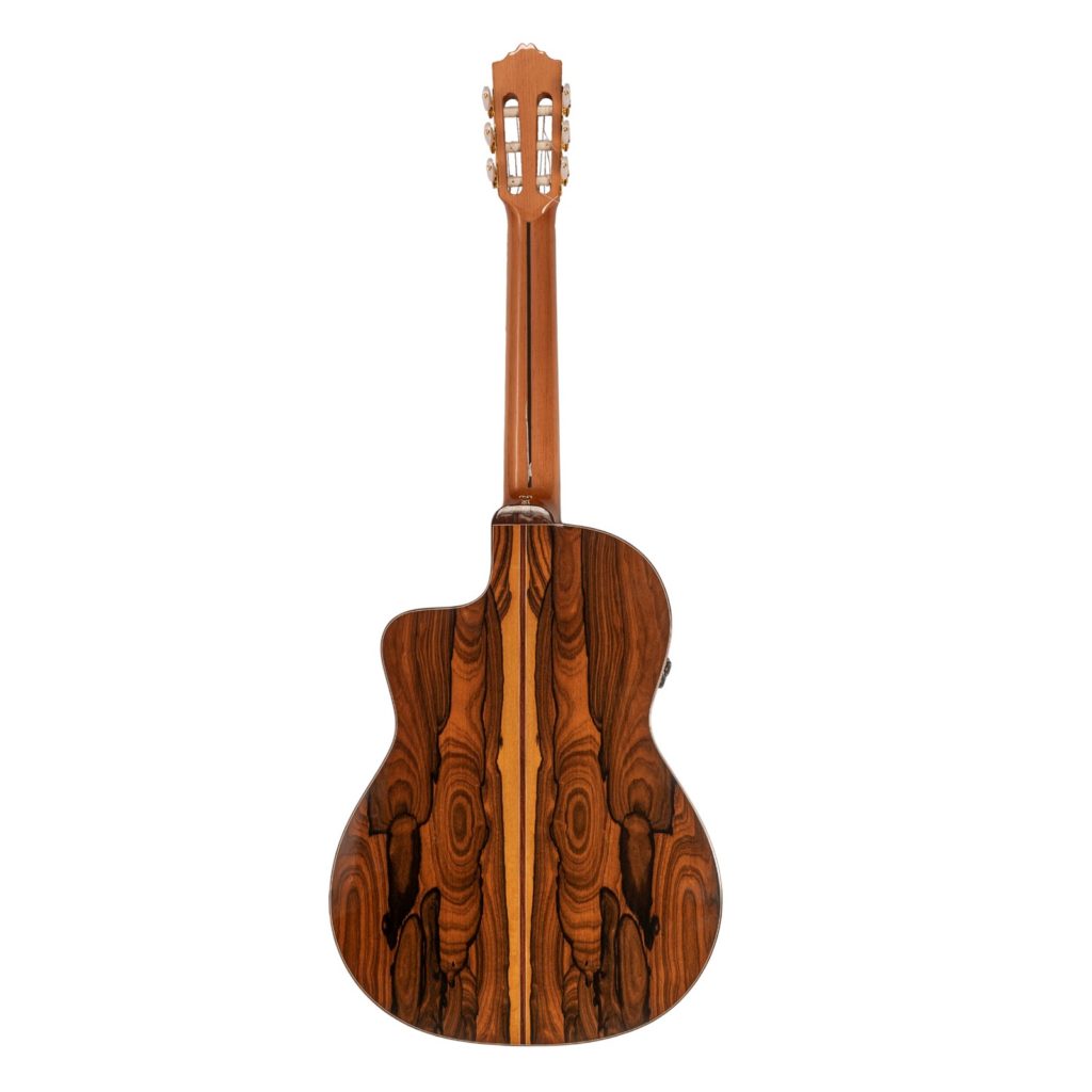 JOSE TORRES JTC-100CE - immagine 2