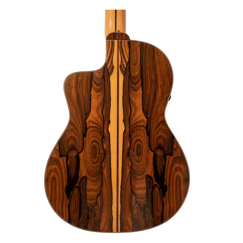 JOSE TORRES JTC-100CE - immagine 4