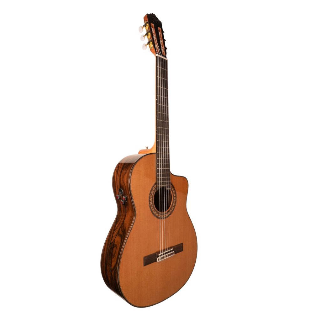 JOSE TORRES JTC-100CE - immagine 5