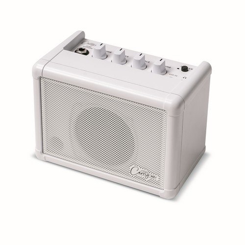 CARRY ON CO-SPEAKER - MINI SPEAKER