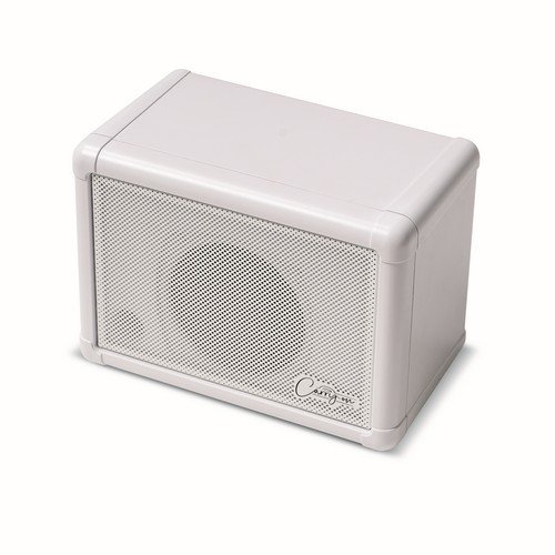 CARRY ON CO-SPEAKER-EXT - MINI EXTENSION SPEAKER