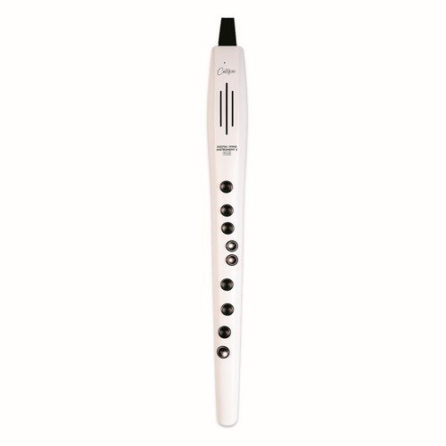 CARRY ON CO-DWI2PLUS-WT - DIGITAL WIND INSTRUMENT PLUS - BIANCO